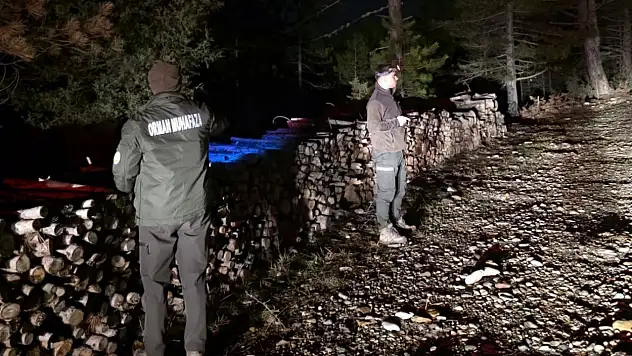 Ormanda Koruma Faaliyetleri Sürüyor