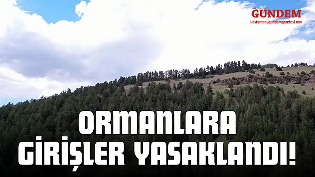 Ormanlara Girişler Yasaklandı!
