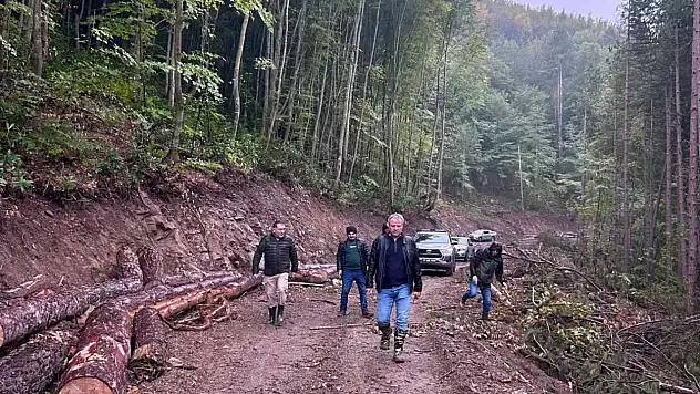 Ormanlara Ulaşımı Kolaylaştıracak Yeni Yol Tamamlandı