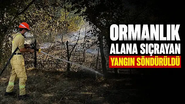 Ormanlık Alana Sıçrayan Yangın Söndürüldü