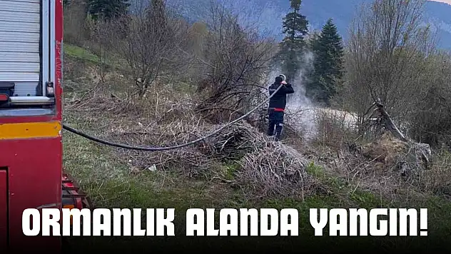 Ormanlık Alanda Yangın