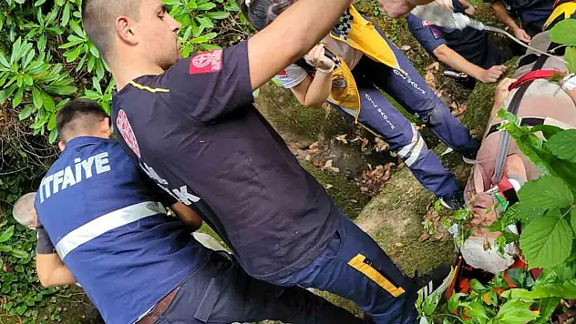 Ormanda Yaralandı, 1 Km Sedyeyle Taşındı