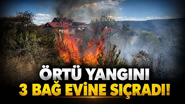 Örtü Yangını 3 Bağ Evine Sıçradı