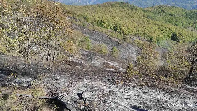 Yangın Sıçramadan Söndürüldü