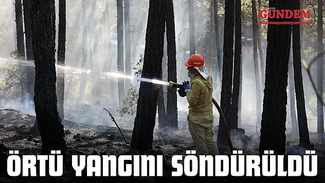 Örtü Yangını Söndürüldü