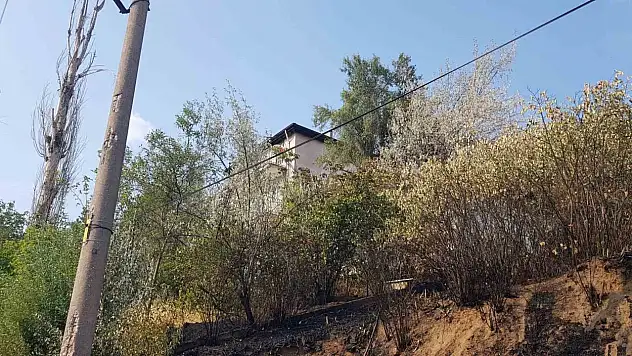Otluk Alanda Yangın