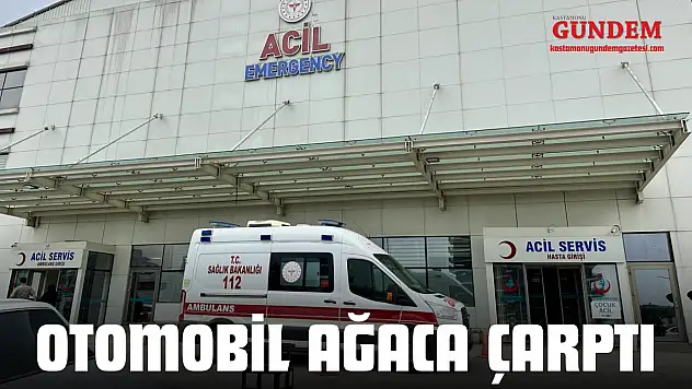 Otomobil Ağaca Çarptı: Yaralılar Var!