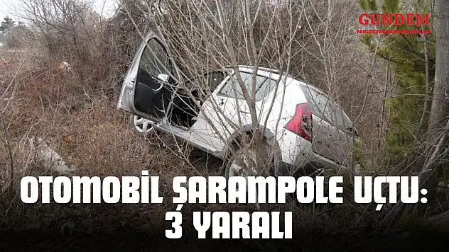 Otomobil Şarampole Uçtu: 3 Yaralı