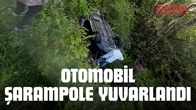 Otomobil Şarampole Yuvarlandı: 2 Yaralı!