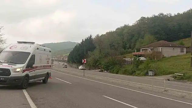 Otomobil Tarlaya Uçtu, Dede Ve 2 Torunu Yaralandı