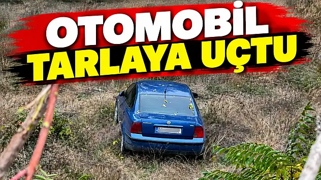 Otomobil Tarlaya Uçtu