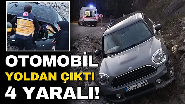 Otomobil Yoldan Çıktı: 4 Yaralı