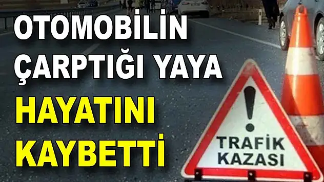 Otomobilin Çarptığı Yaya Hayatını Kaybetti