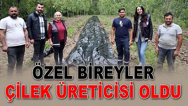 Özel Bireyler Çilek Üreticisi Oldu
