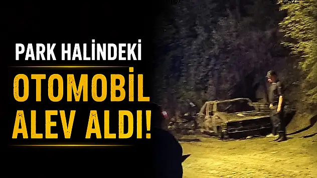 Park Halindeki Otomobil Alev Aldı