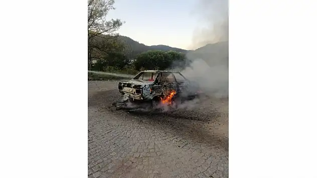 Park halindeki otomobil alevlere teslim oldu
