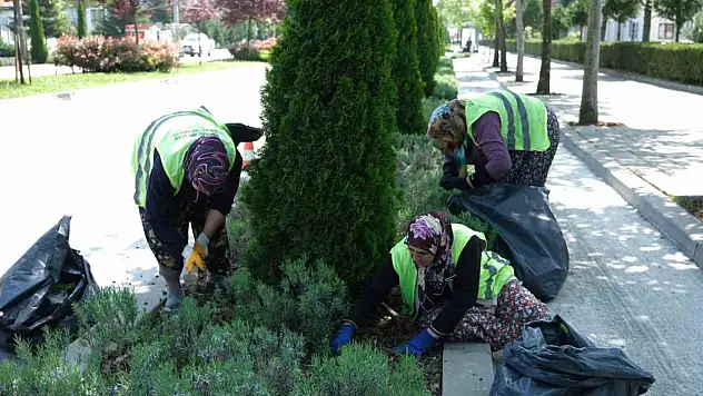 Park ve Bahçelere Kadın Eli Değdi