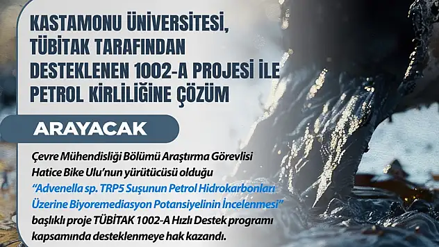 Petrol Kirliliğine Çözüm Aranacak