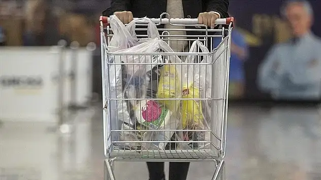 Plastik Poşet Uygulamasıyla 2,8 Milyon Ton Atığın Oluşumu Engellendi