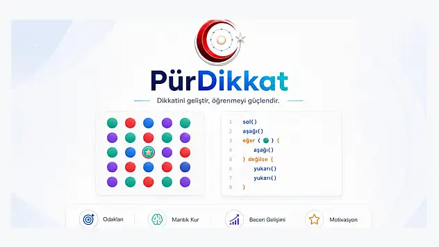 PürDikkat, Erişime Sunuldu
