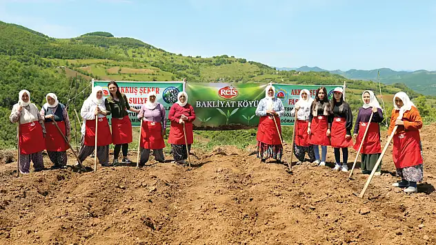 Reis Bakliyat Köylerinde Verimlilik Artıyor