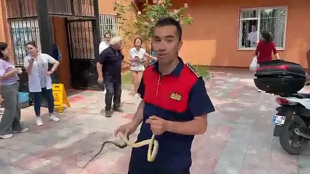 Sağlık ocağında yılan paniği
