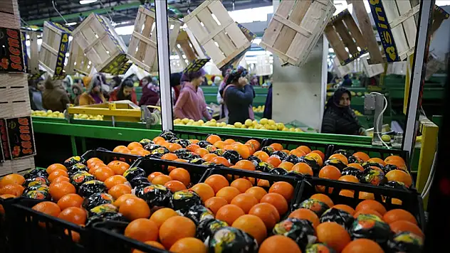 Sağlıklı Atıştırmalıklar Nelerdir?
