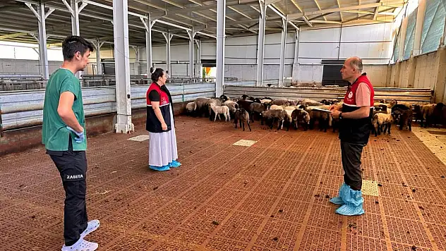 Saha Kontrolleri Gerçekleştirildi