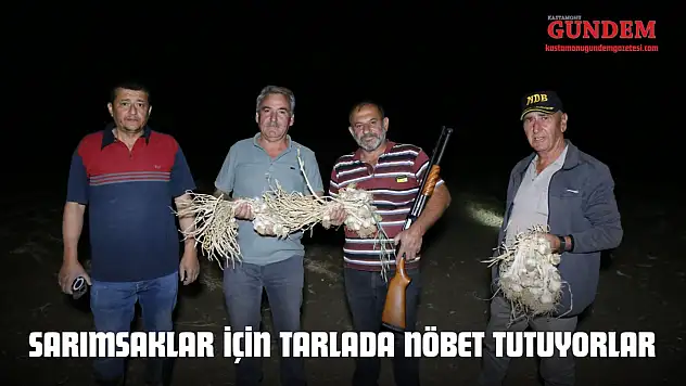 Sarımsaklar İçin Tarlada Nöbet Tutuyorlar