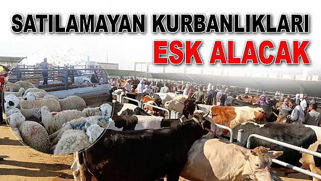 Satılamayan Kurbanlıkları ESK Alacak