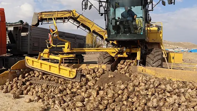 Şeker pancarı alım fiyatı açıklandı