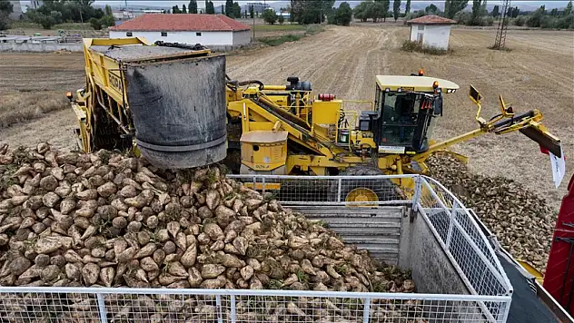 Şeker Pancarı Alım Fiyatı Belli Oldu