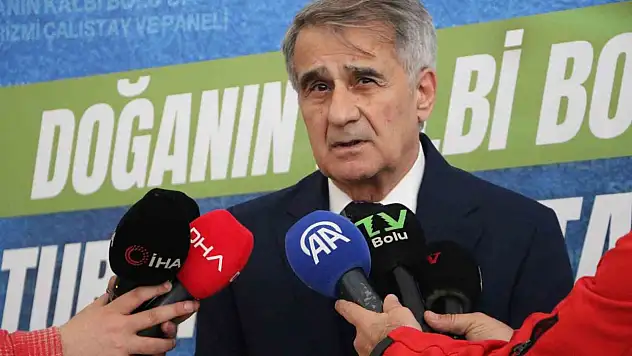 Şenol Güneş: 'Milli Takımın Çeyrek Finale Kadar Rahat Gelebilecek Bir Görüntüsü Var'