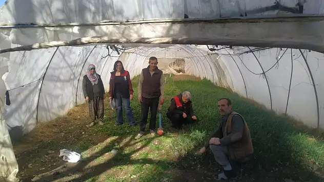 Sera Alanlarında İnceleme Ve Bilgilendirme