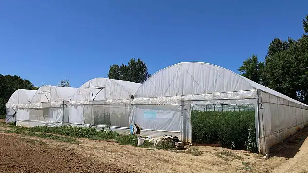 Sera Kurulumu Satın Alma Evrakları Yayımlandı