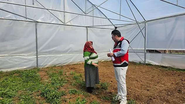 Seralar Ve Çilek Demonstrasyon Alanları İncelendi