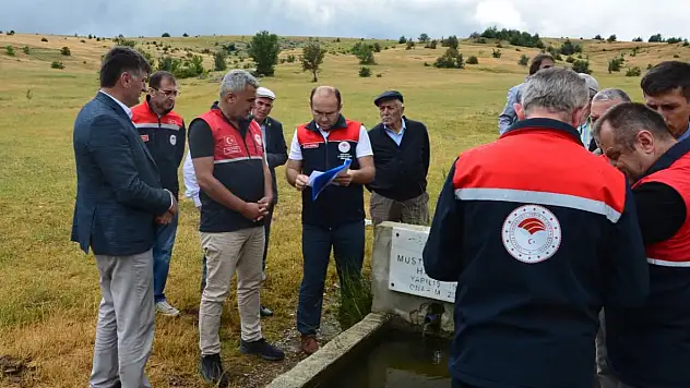 Seydiler Çiğlerik Köyündeki Mera Alanlarında İnceleme