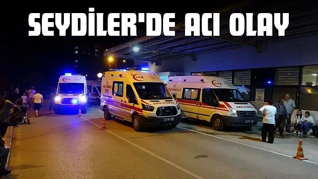 Seydiler'de Acı Olay