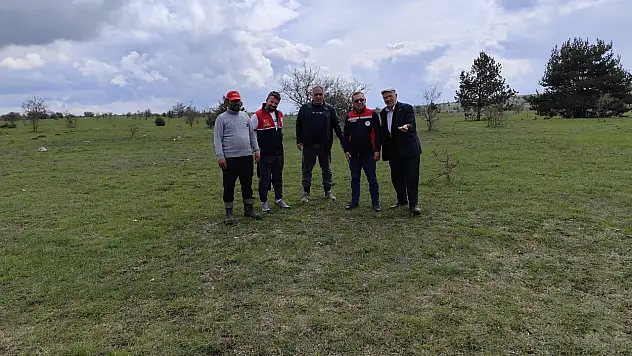 Seydiler'de Mera Alanları Sahada İncelendi