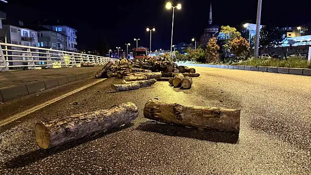 Odunlar Yola Döküldü