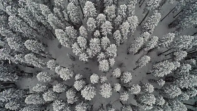 Seyrine Doyum Olmuyor
