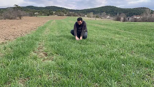 Sezon Verimli Geçecek