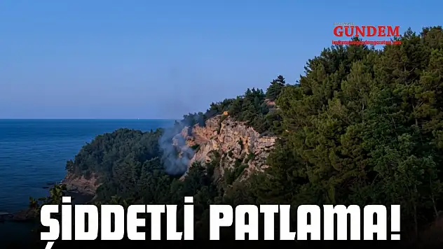 Şiddetli Patlama! Cisim Ormana Düştü