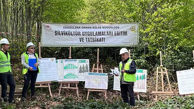 Silvikültür Eğitim Tatbikatı Yenice'de Tamamlandı
