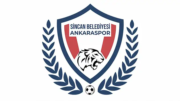 Sincan'ın Başı PFDK İle Dertte