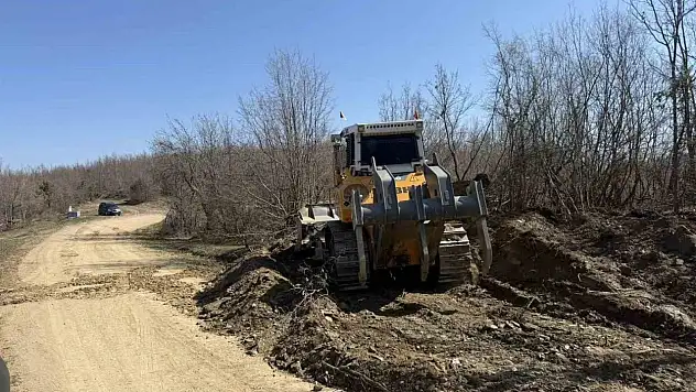 Sinop'a Yeni Orman Nakliye Güzergahı
