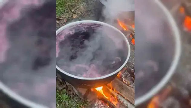 Sinop'ta Kışlık Pekmez Mesaisi