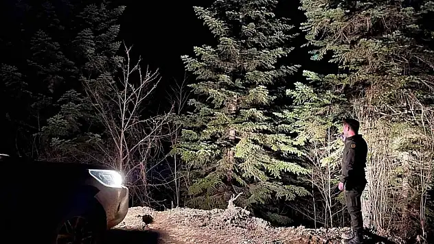 Sinop Ormanları 7/24 Koruma Altında