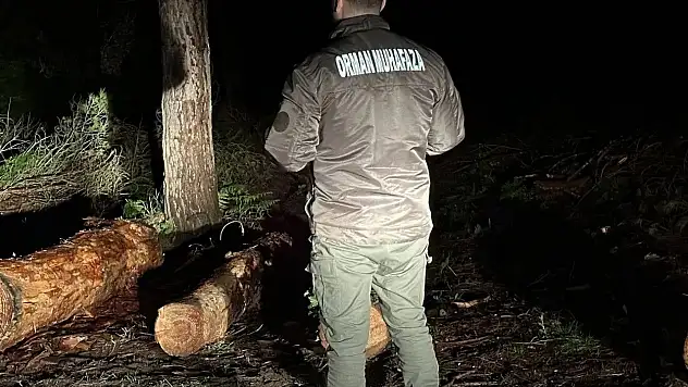 Sinop ormanları gece-gündüz koruma altında