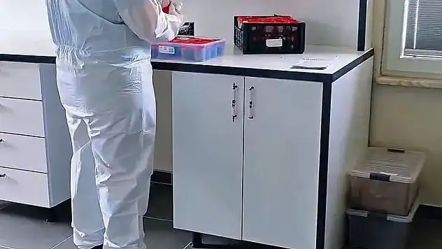 Sinop Ormanlarında Biyolojik Mücadele Güçleniyor